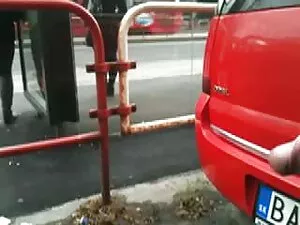 Cane la video amator ...